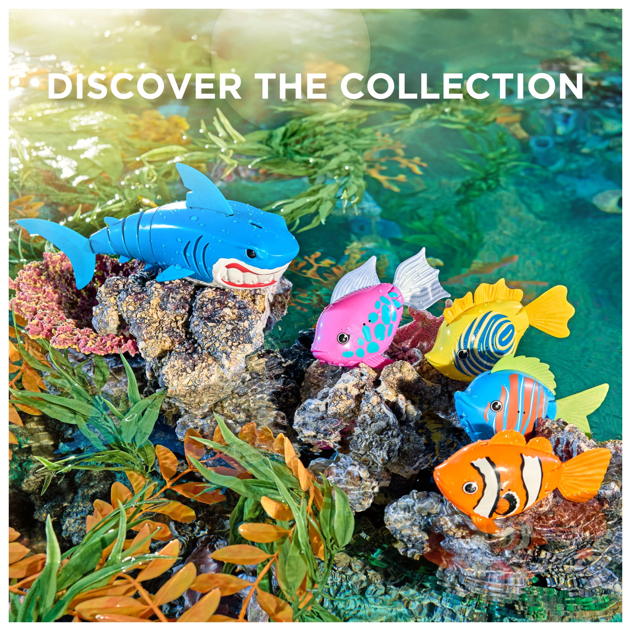 SwimWays Rainbow Reef Fish, Swim Shady (Batteries Included)