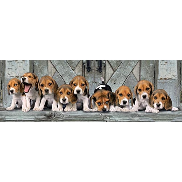 Clementoni 39435 Colección Rompecabezas Panorama para Adultos y Niños Beagles 1000 Piezas