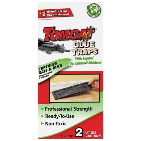 Tomcat Rat Glue Trap W/Eugenol (Best Rat Traps Indoors)