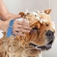 thumbnail image 2 of Cabezal de ducha para mascotas, caseta para patas, accesorio de baño para perros con cepillo, manguera de PVC y 2 adaptadores de manguera para perros y gatos., 2 of 5