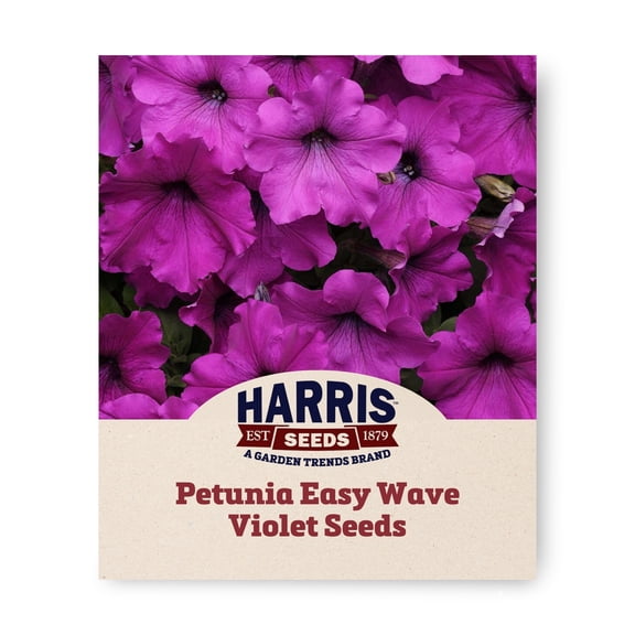 Harris Seeds Petunia Easy Wave Violet F1, Annual Flower Seeds, 25 Count