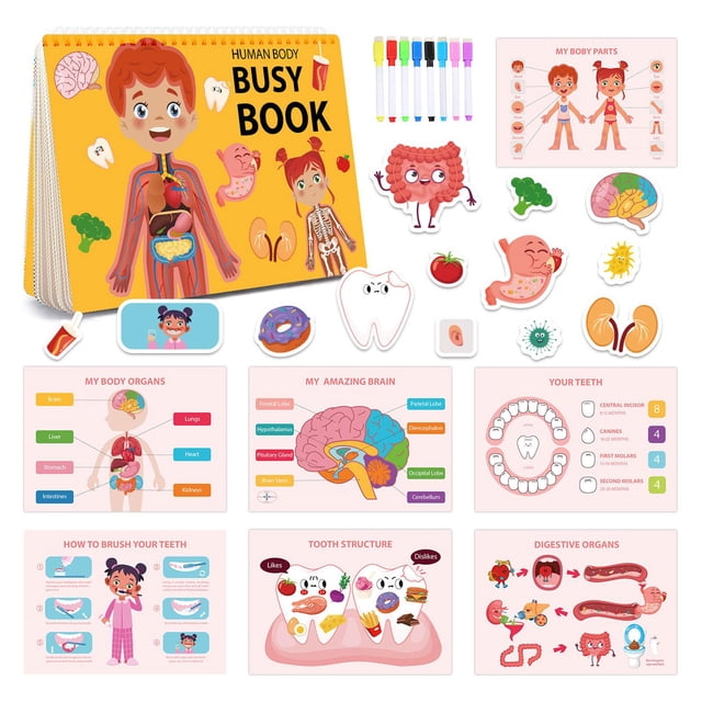 Libro interactivo del cuerpo humano, material didáctico, habilidades motoras finas, actividades de aprendizaje de biología para niños de 2, 3, 4, 5 y Baoblaze libro de actividades