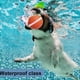 thumbnail image 3 of Juguetes Interactivos Inteligentes para Perros, Pelotas, Pelota Eléctrica Inteligente, Pelota Rodante para Cachorros, Perros Pequeños y Medianos, Azul + Naranja, 3 of 5
