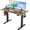 Rustic Brown, variant on HUANG Electric Height Adjustable Standing Desk, 48x24 Inch with T-Shaped Frame, 3 Memory Buttons, Black Frame/Rustic Brown Top