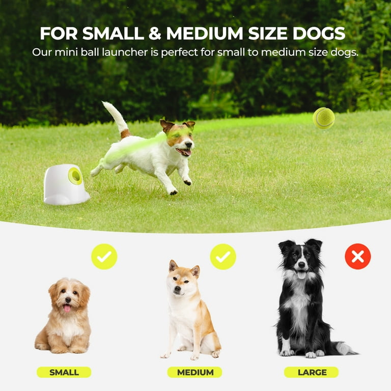 All For Paws Automatic Tennis Ball Launcher for Small to Medium Sized Dogs 3 Balls Included Mini
