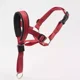 thumbnail image 1 of Cabeza De Perro Halter Rojo Tallas (m: 8.25-10.25 Hocico)2pc, 1 of 8
