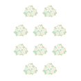 thumbnail image 1 of Jumpingount Broche Flor Pintura Joyería Esmalte Solapa Pins Insignia Mujeres Adornos diario para ropa Elaboración Regalo XZ4150 XZ4150 10Conjunto, 1 of 6