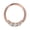 Rose Gold, variant on 18 Gauge Surgical Steel Septum Rings Silver Septum Hoop 18g Septum Jewelry 8mm Septum Ring Hoop Daith Piercing Jewelry with Clear CZ