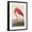 Black Frame, variant on Art.com American Flamingo, 1838 Giclee Print by John James Audubon, 12" x 18"