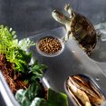 thumbnail image 2 of Caja de Reptiles 2 Piezas Sunnimix Calentamiento Alimentación Color Negro Blanco, 2 of 8