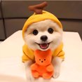thumbnail image 4 of TELOLY 1Pcs Dog Sweater,Cotton Girl Dog Clothes,Puppy Sweater,White,M, 4 of 4