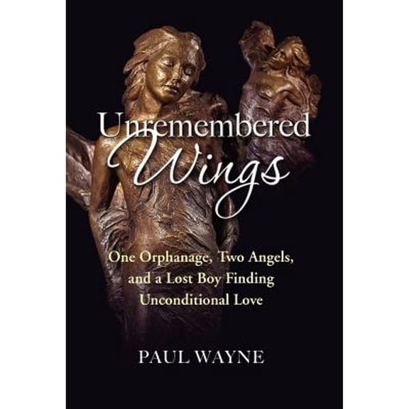 Unremembered Wings (Hardcover)