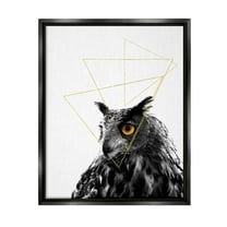 Stupell Industries Contemporary Geometric Owl Shapes Graphic Art Jet Black Floating Framed Canvas Print Wall Art, Design by K. Kaufman