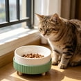 thumbnail image 6 of CuiLiyq Ceramic Elevated Cat Bowl, Raised Ridged Pet Feeder Bowl with Non-Slip Feet, Whisker Friendly Food and Water Dish for Indoor Kittens, Small House Pets, 6 of 8