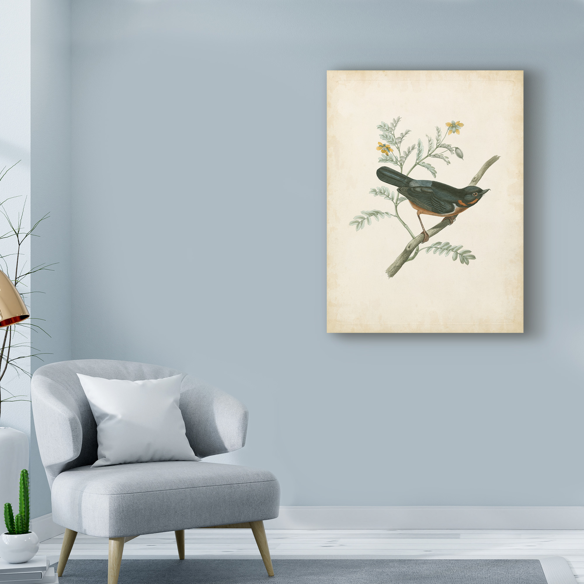 Trademark Fine Art 'Delicate Birds III' Canvas Art by Unknown