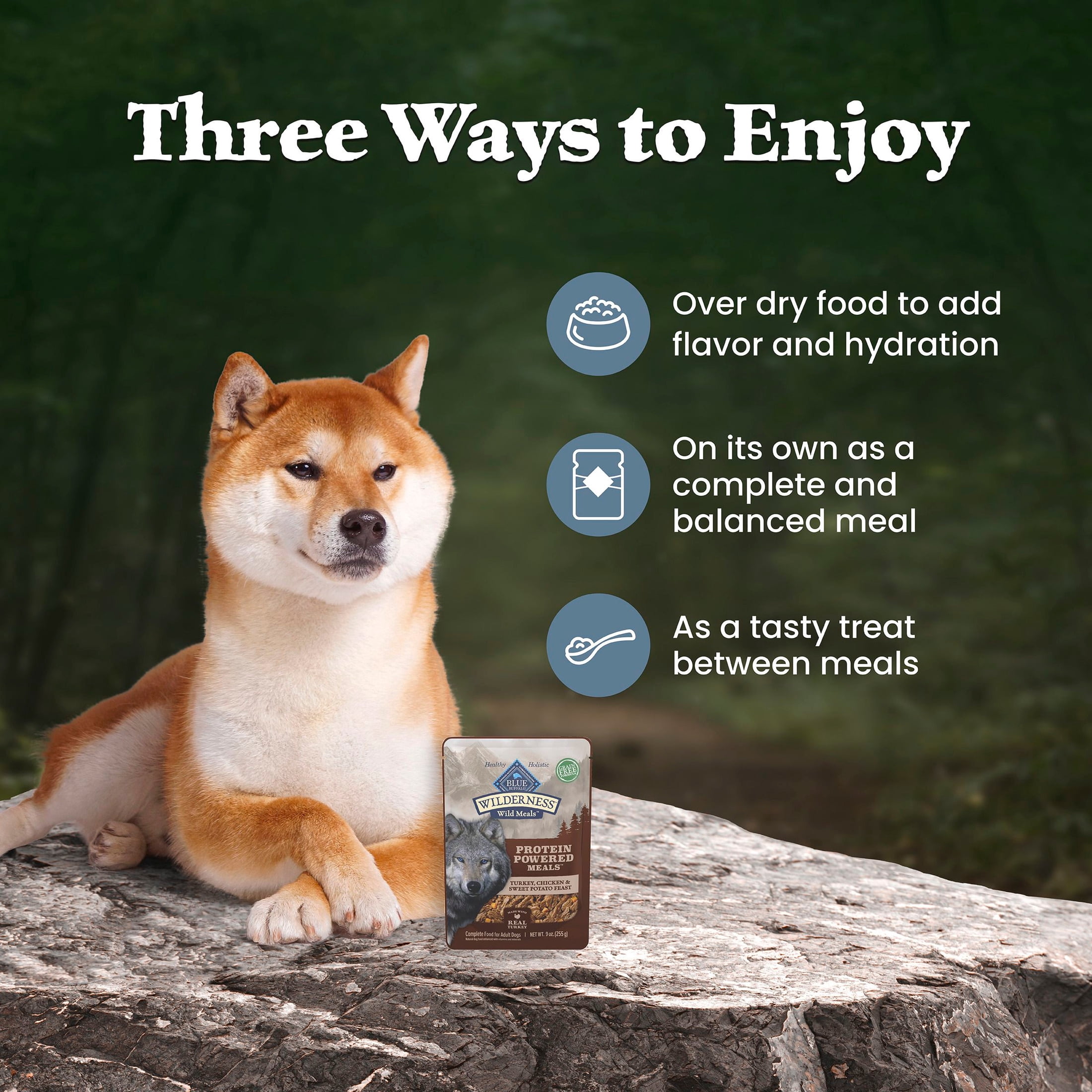 Blue Buffalo Wilderness Wild Meals, Turkey, High-Protein Adult Wet Dog Food, 9oz. Pouch