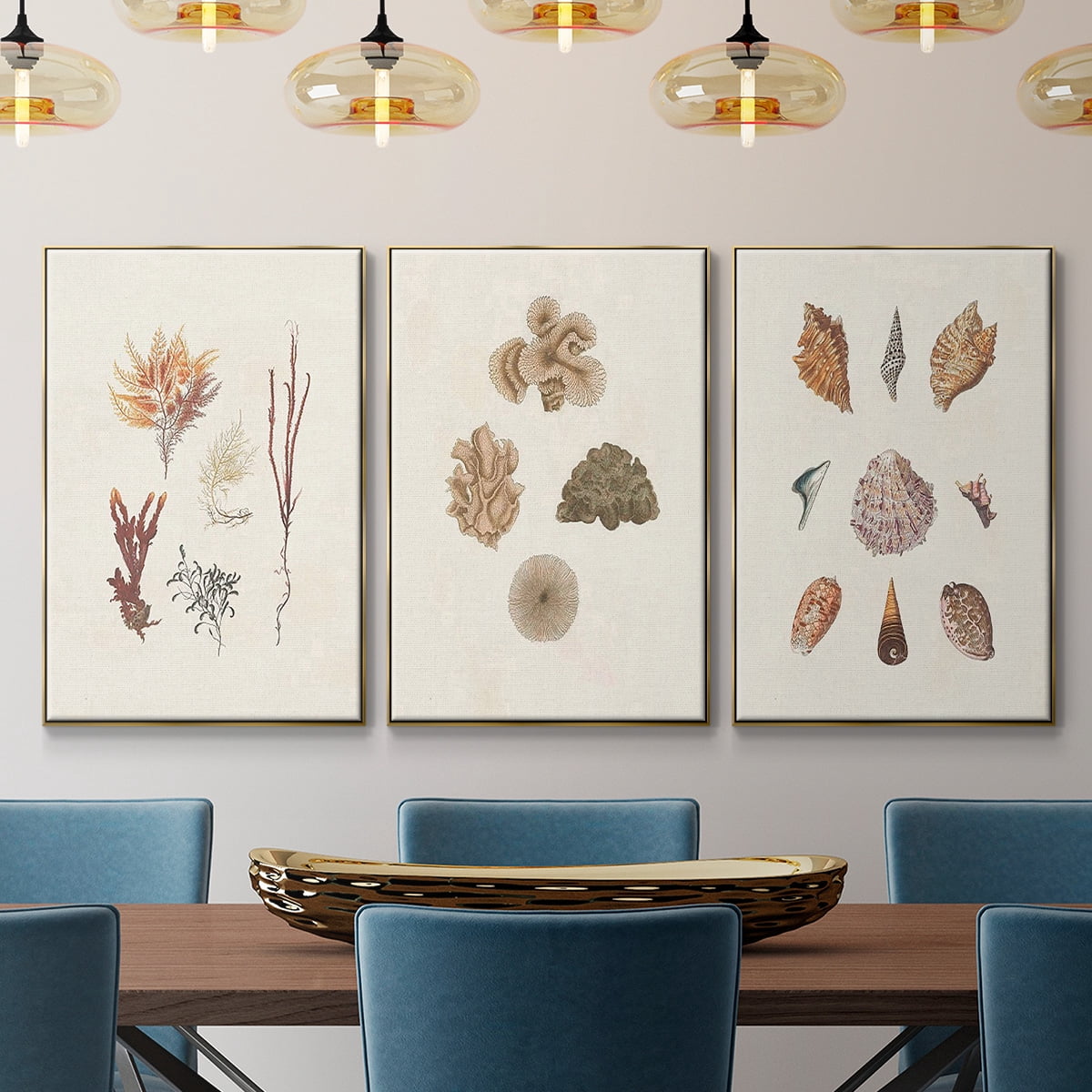 Knorr Shells & Coral VI - Framed Premium Gallery Wrapped Canvas L Frame 3 Piece Set - Ready to Hang
