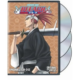 Bleach Uncut: Box Set 10 (DVD Boxed Set) [DVD] - Walmart.com