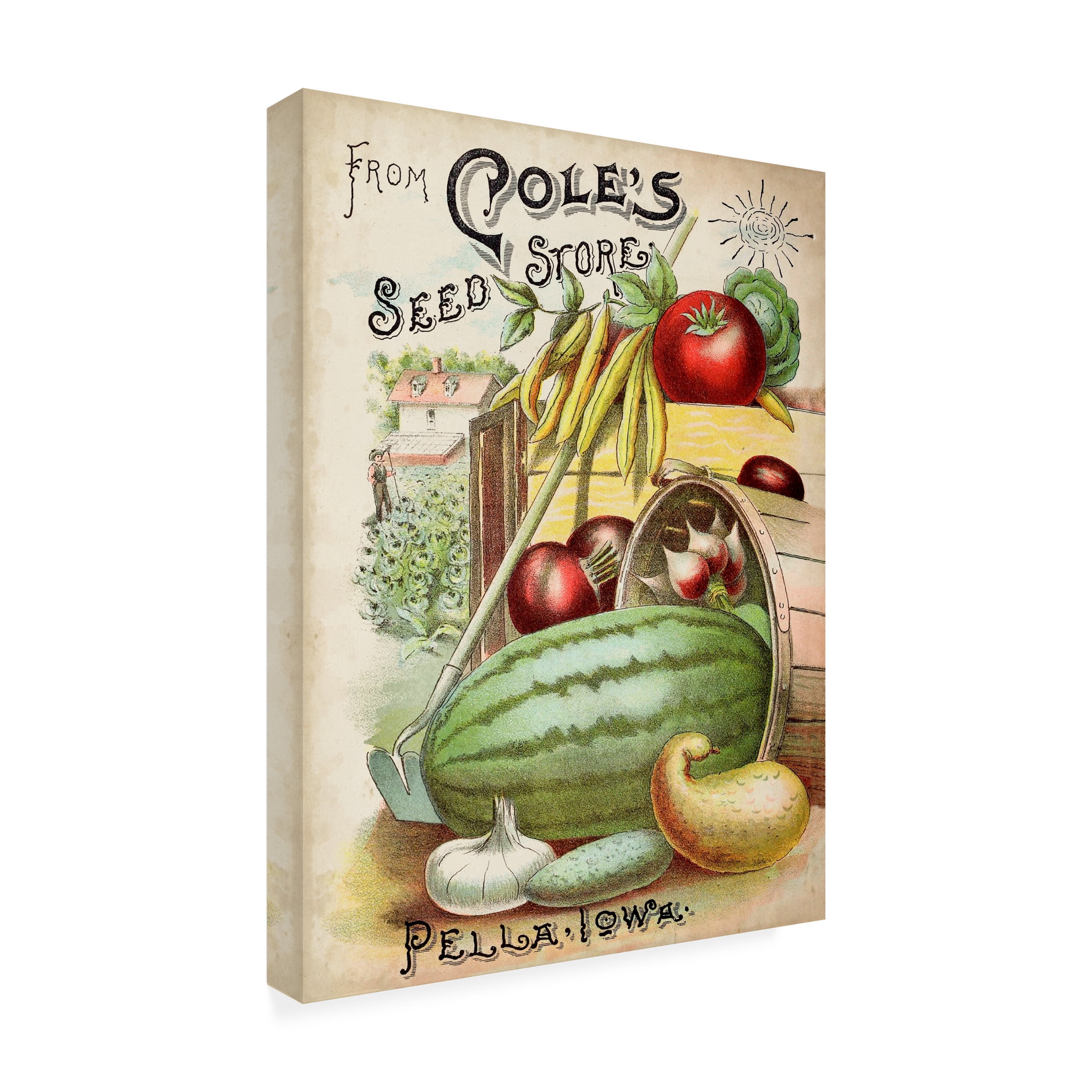 Unknown 'Antique Seed Packets VI' Canvas Art