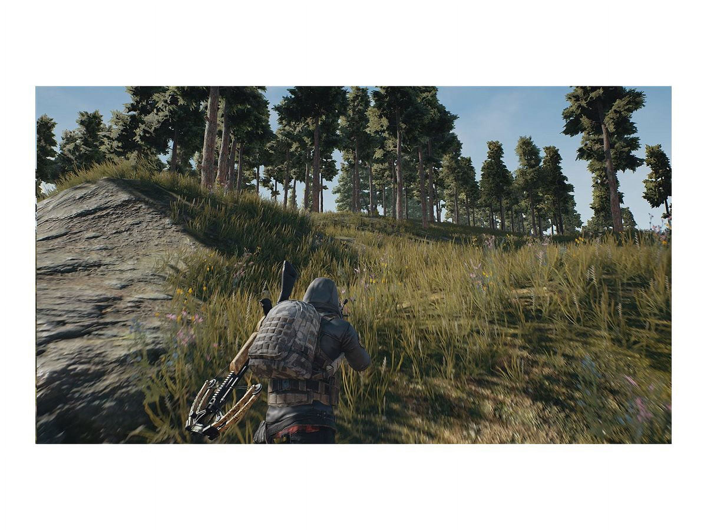 Sony PlayStation 4 Game: Playerunknown's Battlegrounds