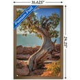 thumbnail image 3 of Beth Sheridan - Dead Horse Point Wall Poster, 14.725" x 22.375", Framed, 3 of 3