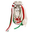 thumbnail image 1 of Trofeo de campeones de fútbol, trofeo de fútbol de resina, copa de premios, recuerdo, gran regalo para fanáticos del fútbol, 1 of 5
