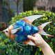 thumbnail image 5 of Colgante de Peces Tropicales, Decoración de Hierro para Jardín y Piscina, 12 Pulgadas, 5 of 8
