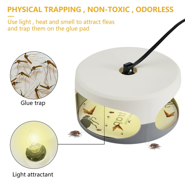  Customer reviews: BugMD Flea Trap for Pest Control Indoor Dome  Sticky Disc, Pest Trapper for Bugs Fleas Mosquitos, 4 Light Modes