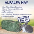 thumbnail image 6 of Grandpa's Best Alfalfa Hay Mini Bale for Small Animals - 40oz, 6 of 6