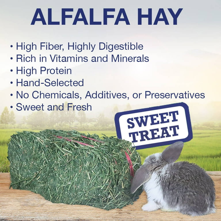 Grandpa's Best Alfalfa Hay Mini Bale for Rabbits and Small Pets
