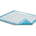thumbnail image 2 of Dri-Sorb UFS-300 Underpad, light absorbency. Pack of 10, 2 of 3