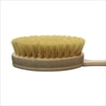 thumbnail image 4 of Yerba Prima Tampico Skin Brush - 1 Brush, 4 of 5