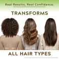 thumbnail image 2 of Amla Bhringraj Shampoo with Pro-Vitamin B5 & Aloe Vera – Daily Hair Cleanser for Soft & Manageable Hair – Suitable for Men & Women, All Hair Types, 2 of 10