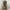 Army Green, variant on Sakmal Sun Dresses for Women 2024 Mid-Length Crew Neck Green Basic Loose Fit Short Sleeve Floral Shift Dress
