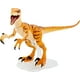 thumbnail image 2 of Jurassic World Toys Colección Ámbar Velociraptor Jurassic World Jurassic World Toys, 2 of 2