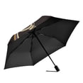 thumbnail image 2 of FORMRS Travel Umbrella Folding Auto Open Close Windproof Rain UV Protection, Skeleton Stripes, 2 of 8