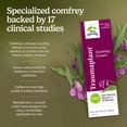 thumbnail image 3 of Terry Naturally Traumaplant Comfrey Cream - 3.53 oz (100 g), 3 of 7