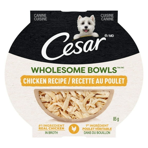 Cesar Wholesome Bowls Chicken Recipe Adult Wet Dog Food