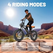 C INVERTER 20 x 4 Fat Tire Electric Bike for Adults, Peak 1100W Motor Retro Ebike Mountain Bike, 48V 14.5 Ah Removable Battery, Max Speed 28 Mph Electric Bicycle Snow Bike