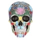 thumbnail image 3 of Adorno De Calavera De Fuerte Estabilidad, Modelo De Calavera De Resina De Calavera Decorativa, Resistencia Al Desgaste Para Colección De Arte De Regalo, Adornos De Barra Mgaxyff Home Decoration, 3 of 8