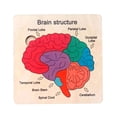 thumbnail image 3 of Rompecabezas de madera para el cerebro, rompecabezas de estructura cerebral, ayuda didáctica, juguete de aprendizaje preescolar, juguete educativo, 3 of 9