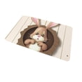 thumbnail image 2 of Ovzne Easter Bunny Holiday Decoration Floor Mat Entry Door Mat Home Entry Foot Mat On Clearance, 2 of 6