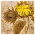 thumbnail image 1 of Great BIG Canvas | Rolled Li Bo Poster Print entitled Sunflower II, 1 of 4