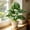 B, variant on PVC Green Artificial Monstera Deliciosa Bonsai 45cm Desktop Plant for Living Room Office Bedroom Decoration