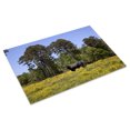thumbnail image 3 of Print: Rural Alabama In The Spring, 2010, 3 of 4
