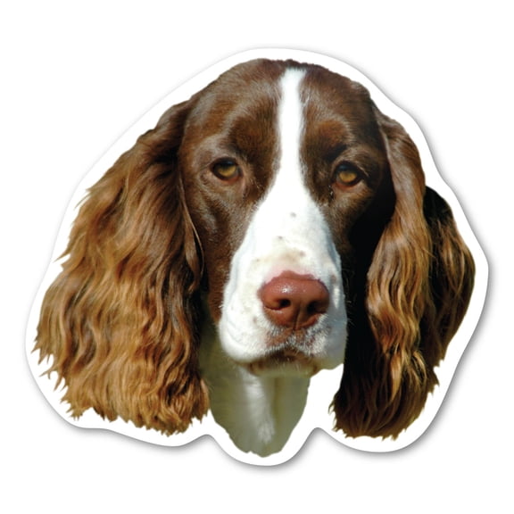 English Springer Spaniel Dog Magnet