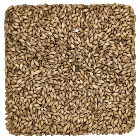 Home Brew Ohio Maris Otter Grain 1lb