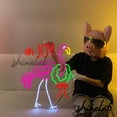 thumbnail image 4 of Shinelab Flamingo Oh Joy Neon Sign, Colorful LED Light, Flamingo Party Decor 14030, 4 of 4