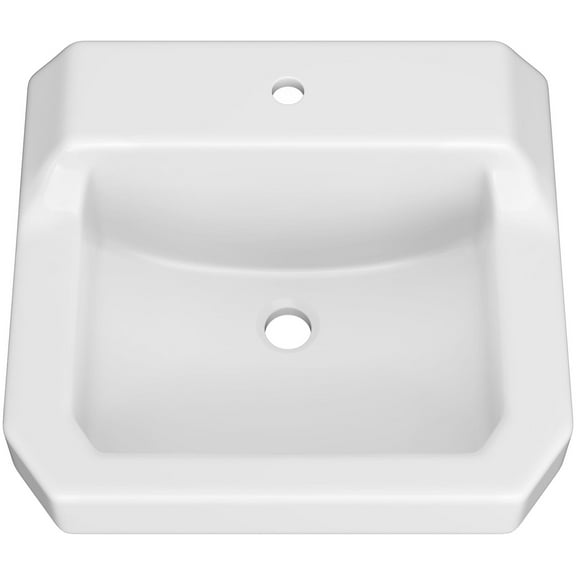 Proflo Pf5411 19-5/8" Rectangular Vitreous China Wall Mounted Bathroom Sink - White