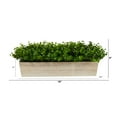 thumbnail image 2 of Nearly Natural 19in. Eucalyptus Artificial Plant in Decorative Planter, 2 of 4